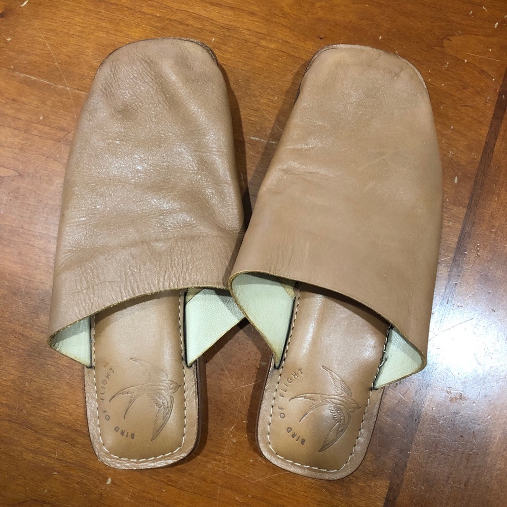 Bird of Flight Koko mules, size 7